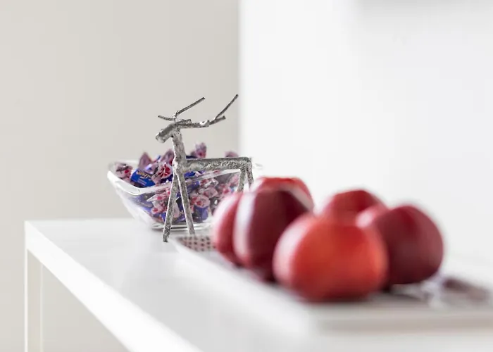 Vasko Luxurious Suites, Hilla 로바니에미